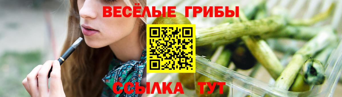 Псилоцибиновые грибы Cubensis  Галлюциногенные грибы Cubensis  Вход с VPN  Кунгур 